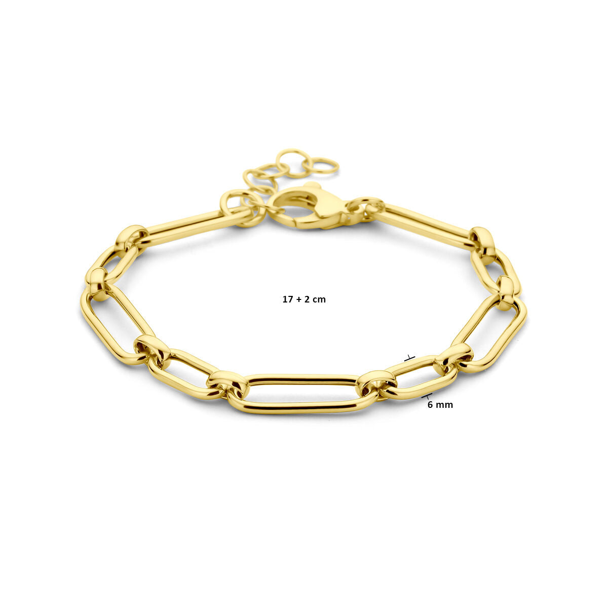 bracciale 6,0 mm 17 + 2 cm 3 micron argento dorato (giallo)
