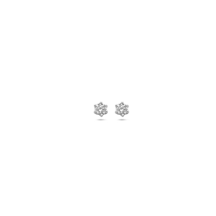 oorknoppen zirkonia zilver gerhodineerd
