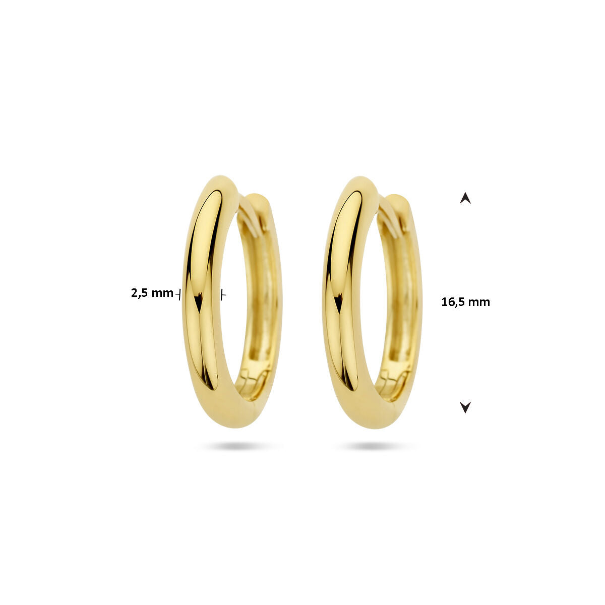 Orecchini a cerchio 2,5 mm mezzo tondo