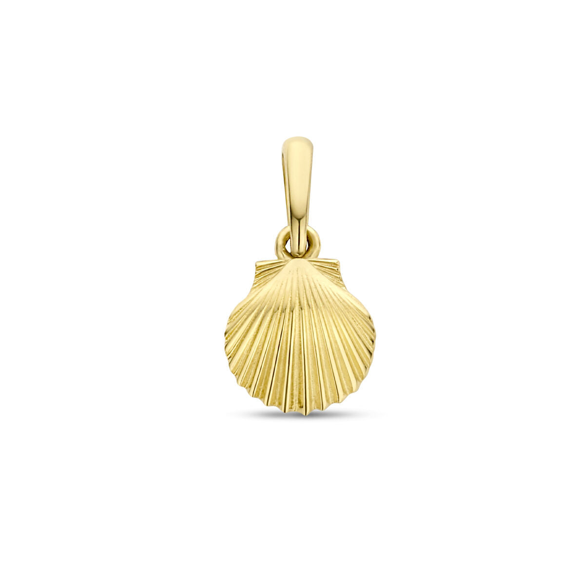 Ciondolo a forma di conchiglia in oro giallo 14K con dettagli a righe.
