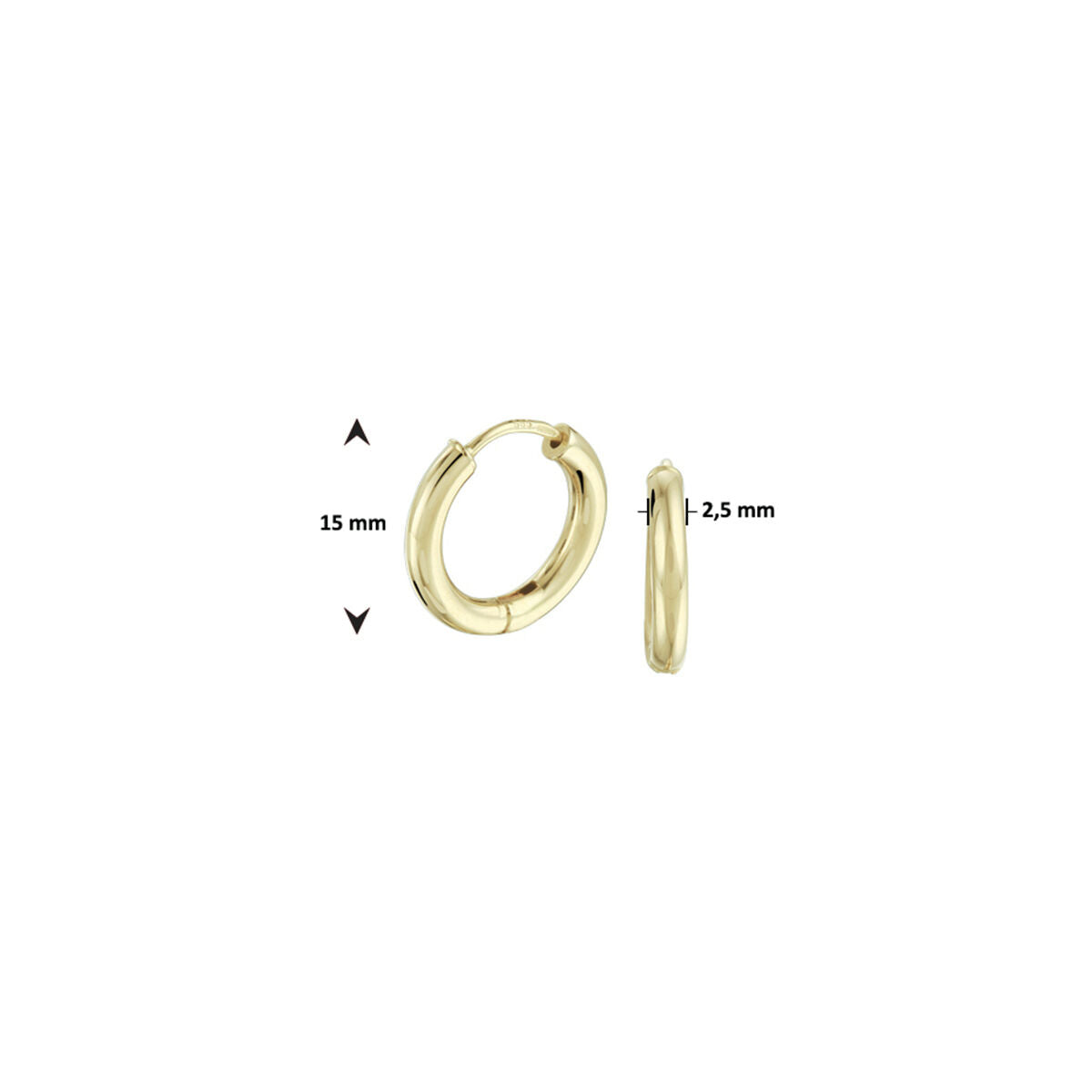 orecchini a cerchio 2,5 mm rotondi