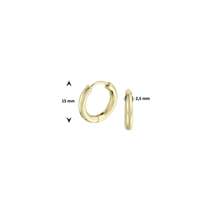 orecchini a cerchio 2,5 mm rotondi