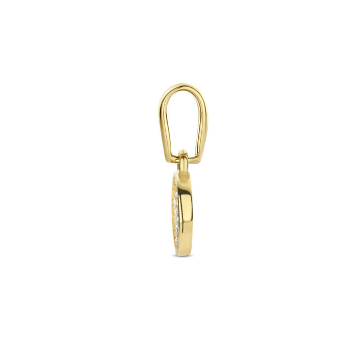 hanger rondje zirkonia 14K geelgoud