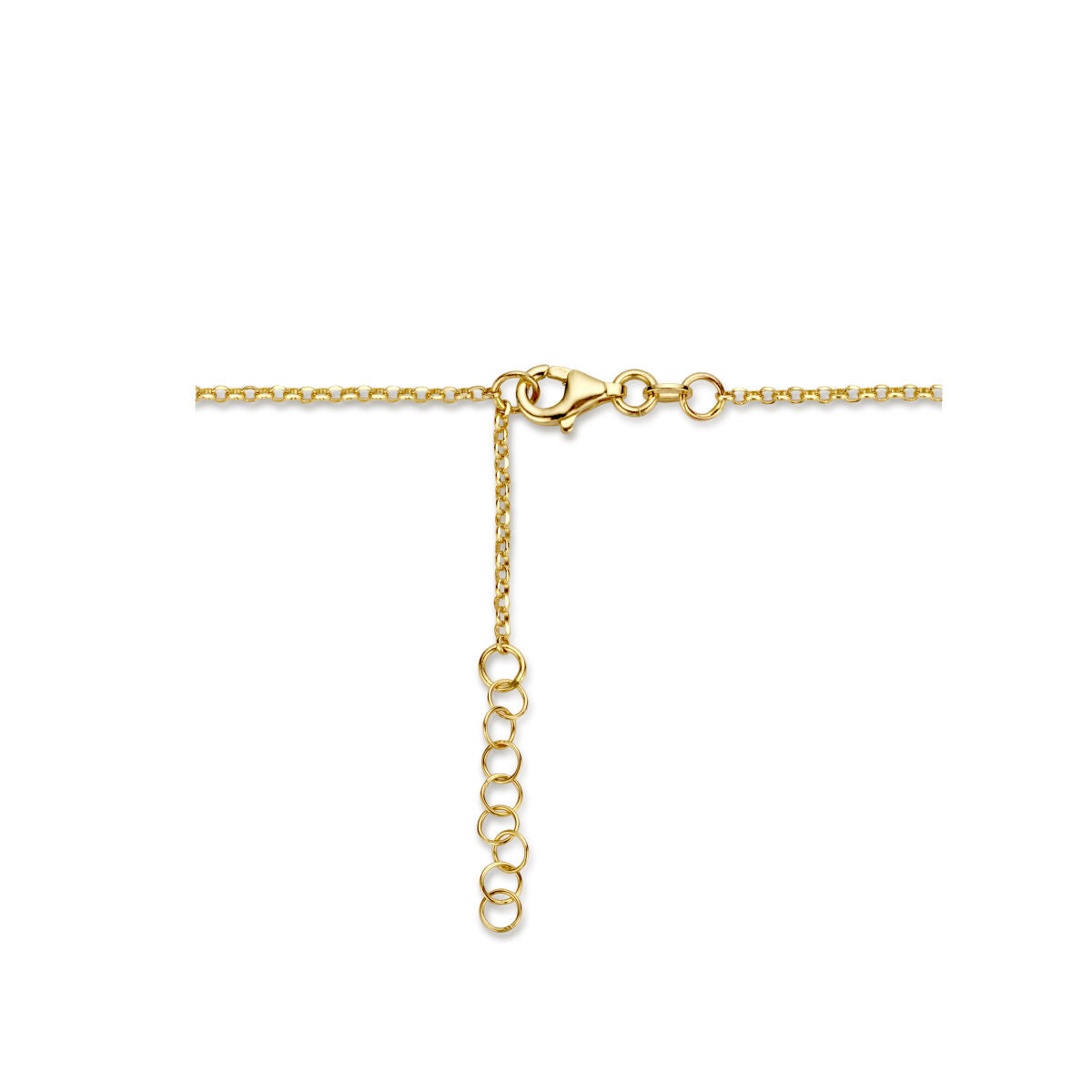 Collana combi jasseron e paperclip 3,5 mm 42 + 2 cm 14K oro giallo