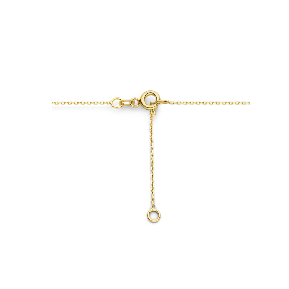 Collana da donna in oro con quadrifoglio 14K
