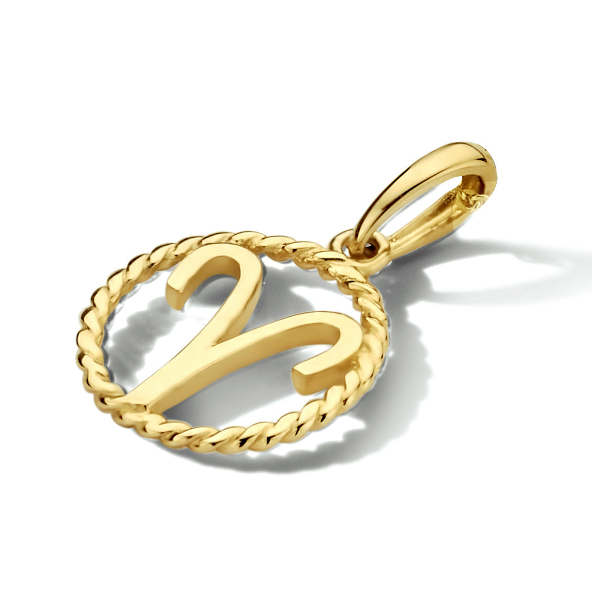 hanger sterrenbeeld 14K geelgoud