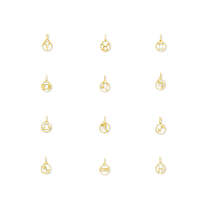 hanger sterrenbeeld 14K geelgoud