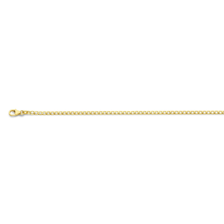 De Van der Kooij Collectie gourmette 6-zijdes geslepen 2,6 mm 14K geelgoud armband heeft een dunne gouden ketting met gourmette schakels en een kleine karabijn sluiting, afgebeeld op een effen witte achtergrond.