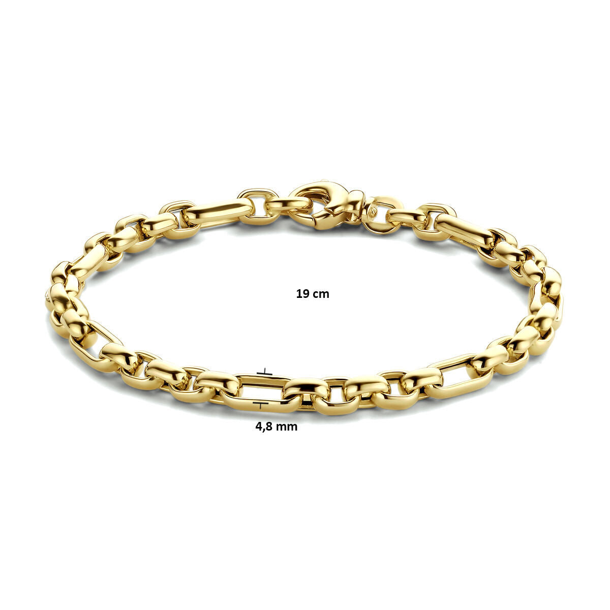 De Van der Kooij Collectie armband anker 4,8 mm 19 cm in 14K geelgoud voor dames, met karabijnsluiting, gepresenteerd op een witte achtergrond met gemarkeerde afmetingen.