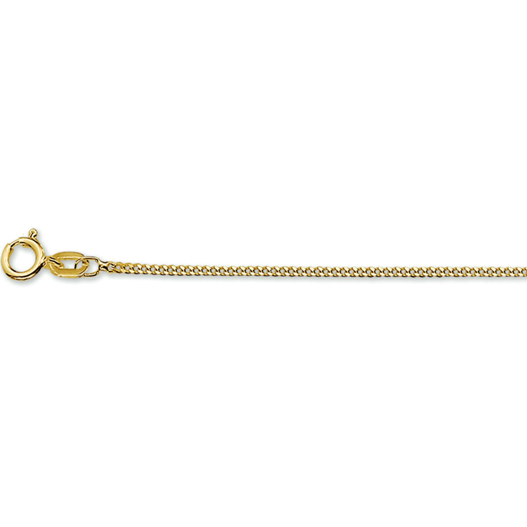 Close-up van een Van der Kooij Collectie gourmette 4-zijdes geslepen 1,2 mm 14K geelgoud dames ketting met een kleine veerringsluiting op een witte achtergrond.