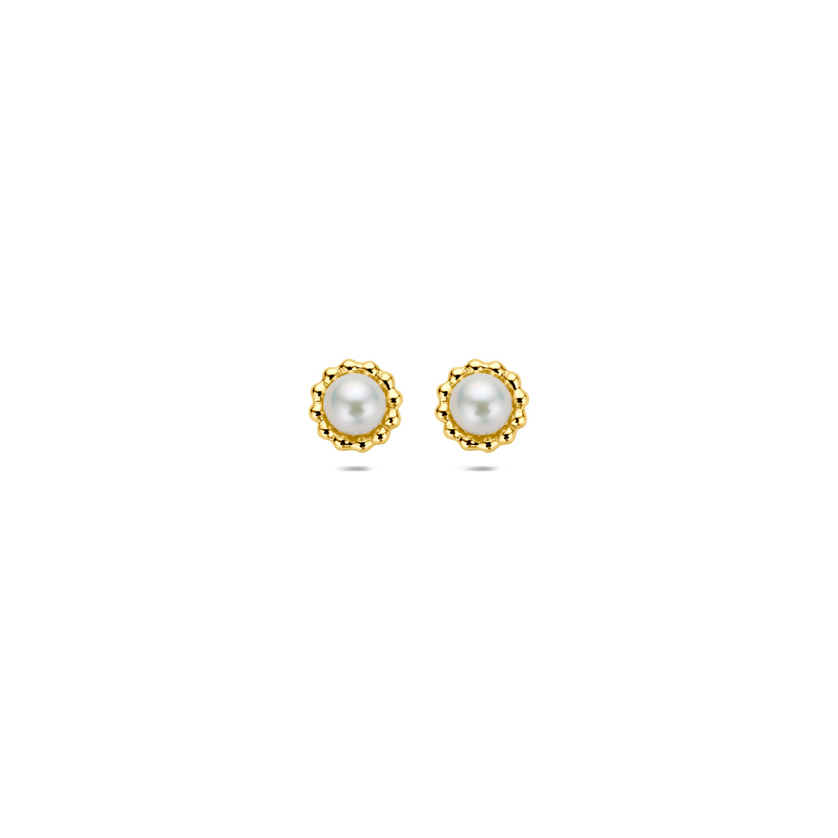 Orecchini in oro giallo 14K con perla di 5,5 mm, decorati con un bordo a pallini.