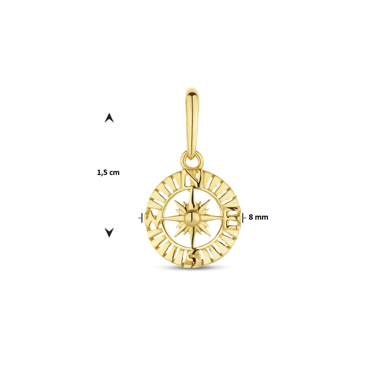 Ciondolo bussola 14K oro giallo