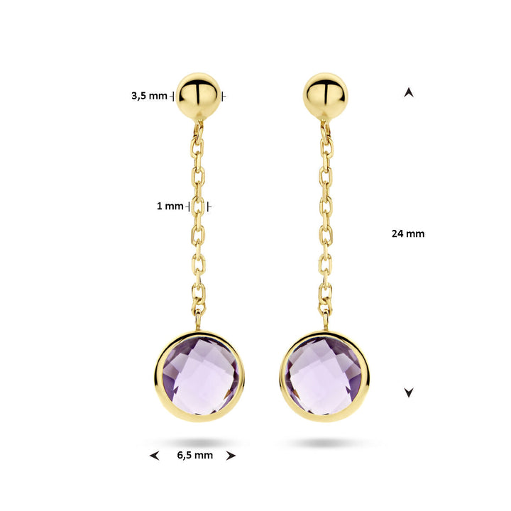 oorhangers amethist 14K geelgoud