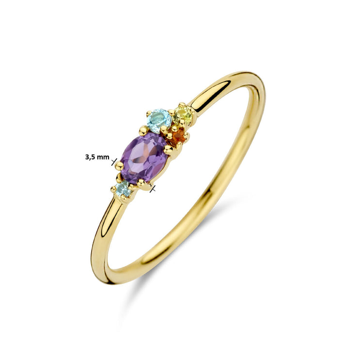 Een delicate ring van Van der Kooij Collectie, "ring natuurlijke kleurstenen 0,16ct 14K geelgoud", heeft natuurlijke kleurstenen in 14k geelgoud met een dunne gepolijste band van 3,5 mm naast de centrale edelsteen.