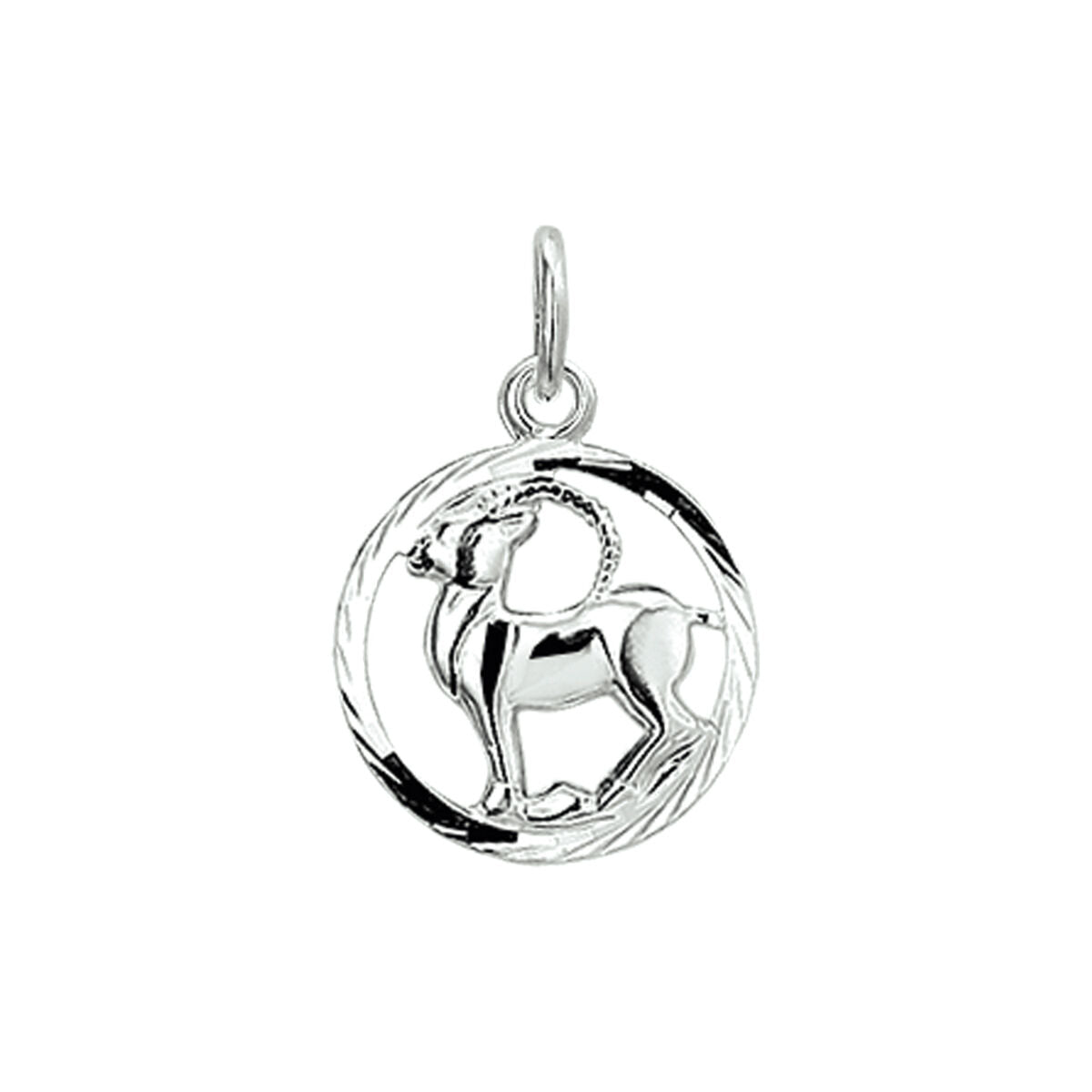 Ciondolo in argento bianco con motivo zodiacale, decorato con dettagli diamantati.