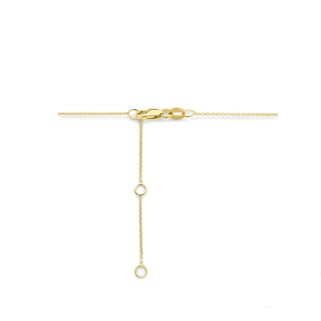 collier robijn en diamant 0.12ct h si 41 - 43 - 45 cm halo 14K geelgoud