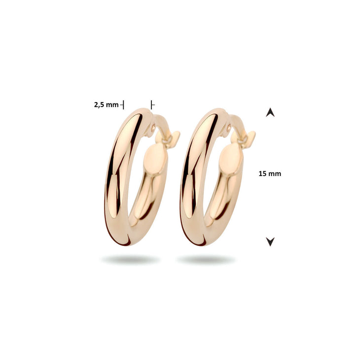 orecchini a cerchio 2,5 mm tubo rotondo 14K oro rosa