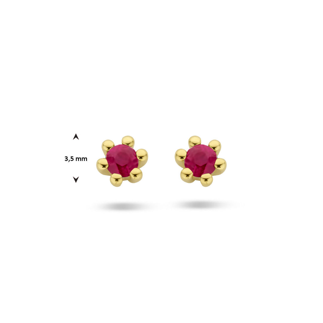 Van der Kooij Collectie oorknoppen robijn 14K geelgoud: elegante oorknoppen met briljant geslepen robijn in het midden, daarnaast door zes gouden pootjes, kleine stud-design, voorbeelden op witte achtergrond met 3.5 mm maatindicator.
