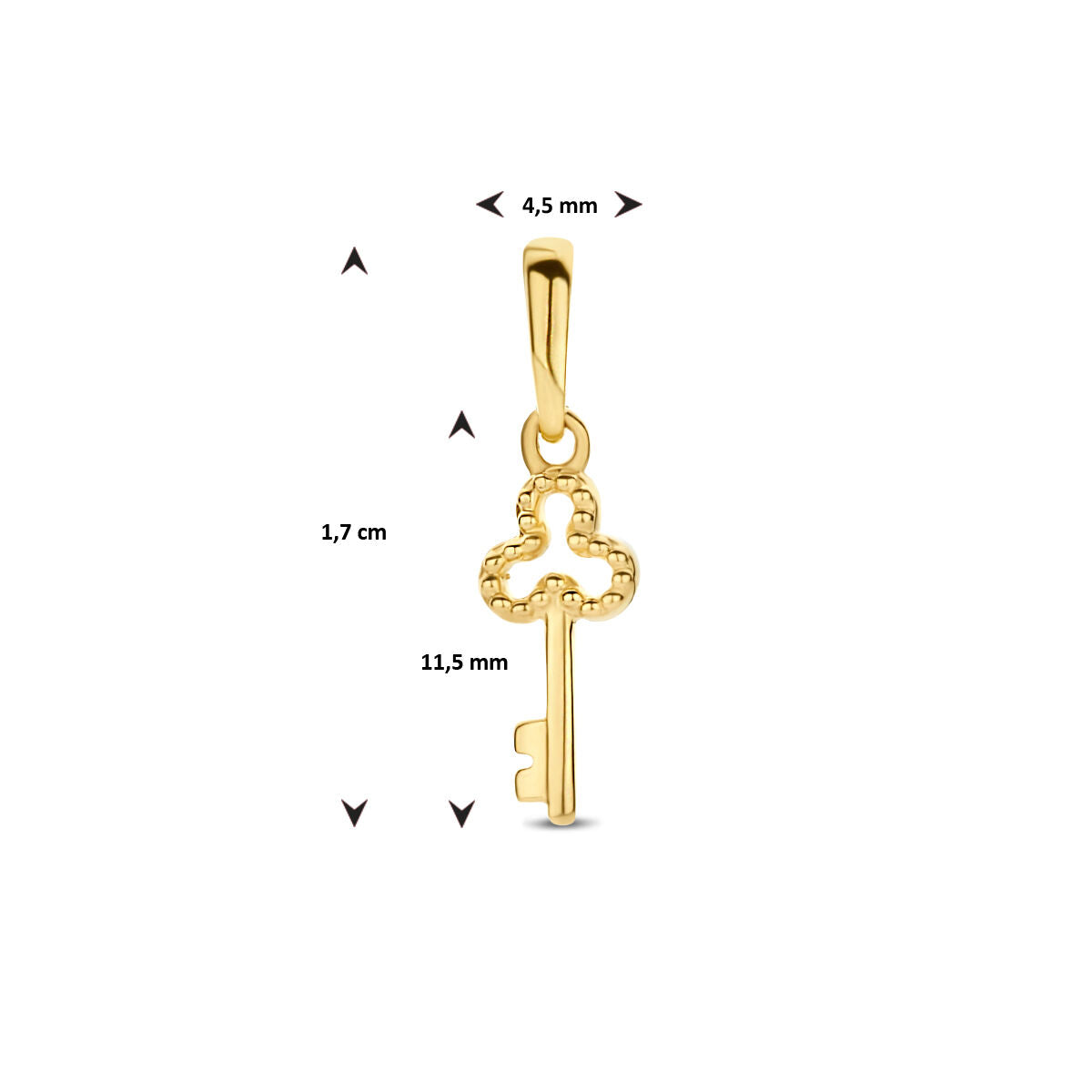 ciondolo chiave 14K oro giallo