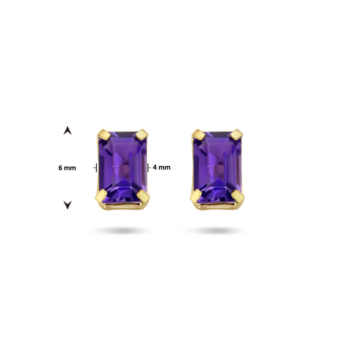 Van der Kooij Collectie oorknoppen amethist 14K geelgoud: rechthoekige dames oorbellen met paarse amethist (6x4 mm) en gouden zetting, gepresenteerd op een witte achtergrond met maatstrepen.