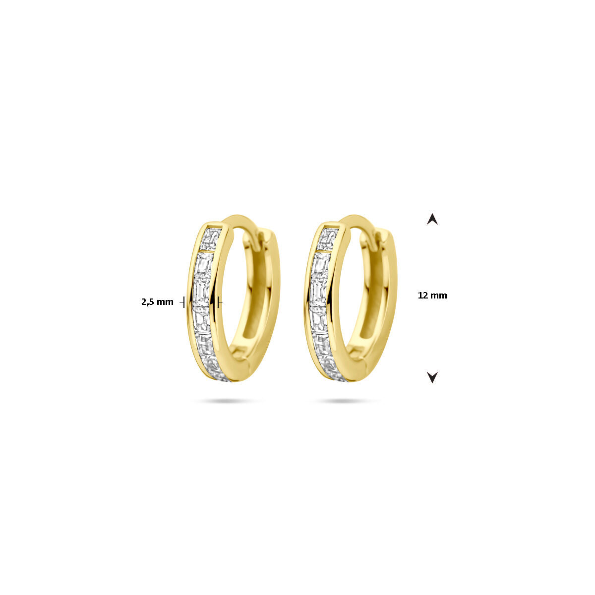 orecchini a cerchio zirconia 12 mm 1 micron argento placcato oro (giallo)