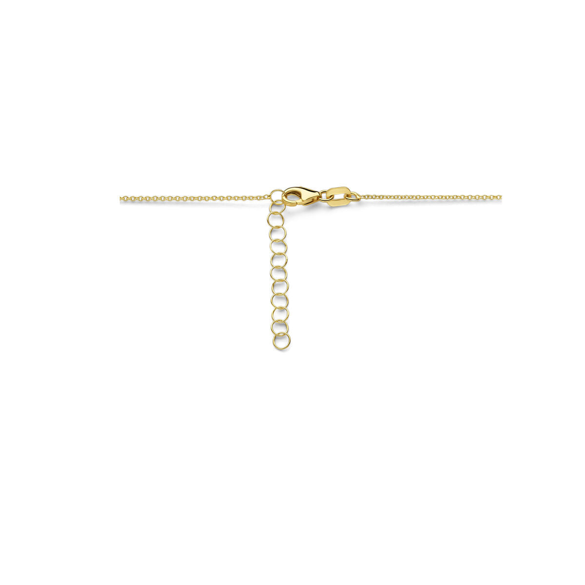 collana da incidere placca 1,6 mm 41 + 4 cm 14K oro giallo