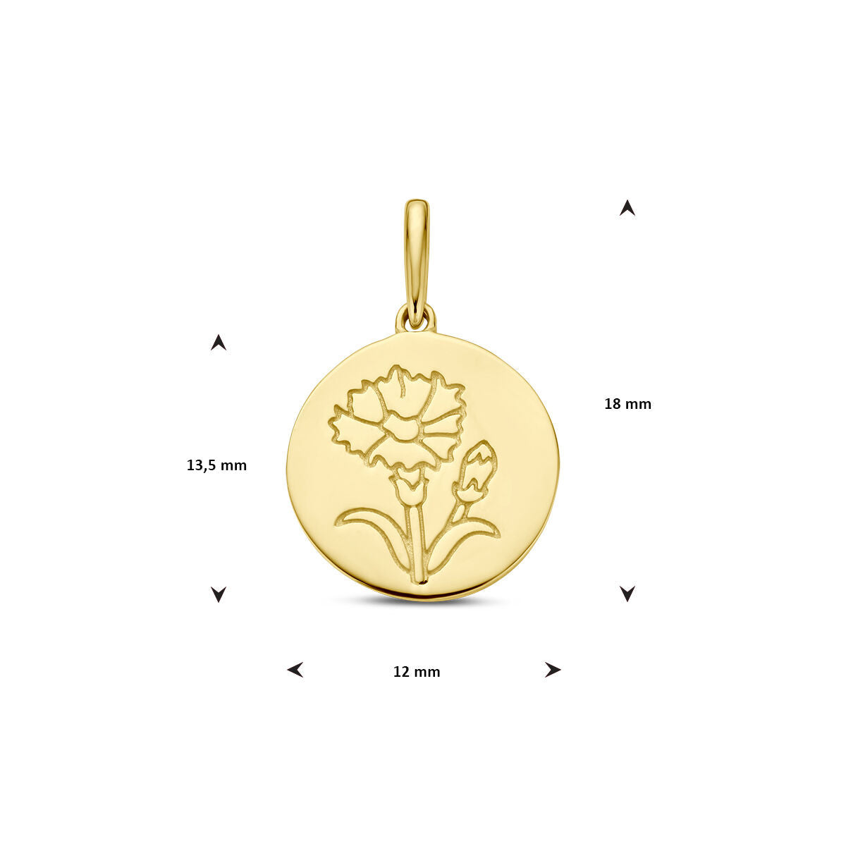 De hanger met geboortebloem 14K geelgoud van Van der Kooij Collectie is een ronde hanger met gegraveerde anjer, 18 mm hoog, 13,5 mm breed en 12 mm doorsnee. Voorzien van eenvoudig oog voor ketting.