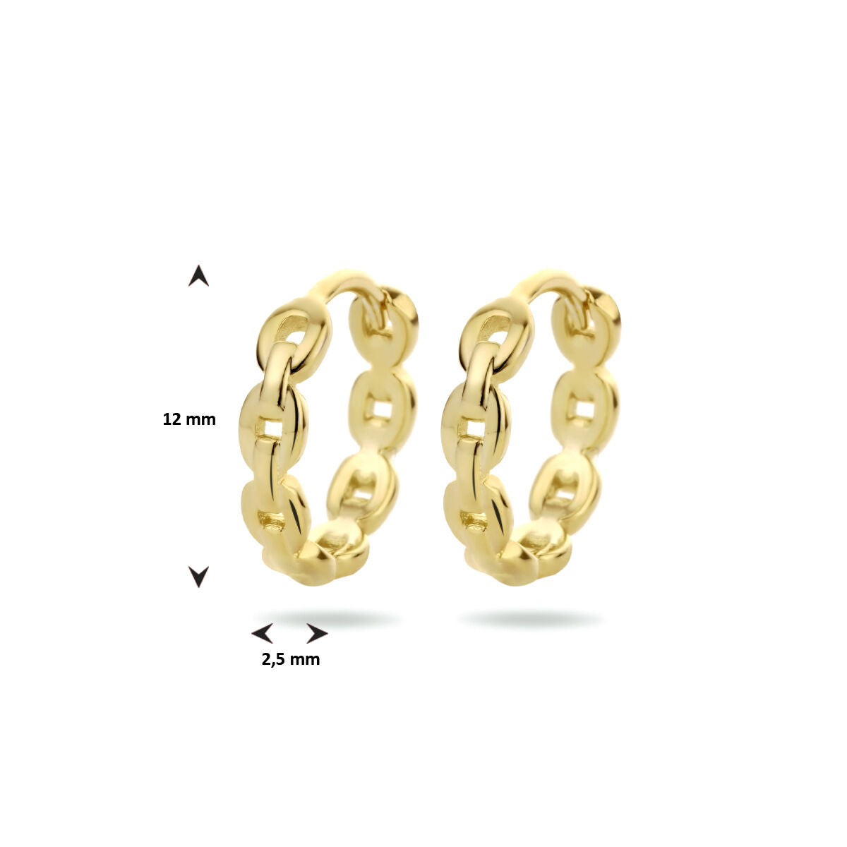 orecchini a cerchio con chiusura a scatto maglia 1 micron argento placcato oro (giallo)