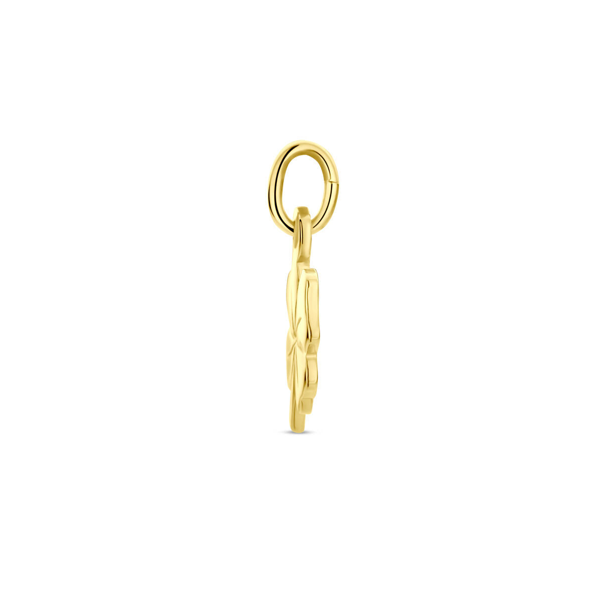 Zijaanzicht van de Van der Kooij Collectie hanger klaver, een 14K geelgoud hanger met ronde lus en bloemmotief, ideaal voor dames ketting, getoond op een witte achtergrond.