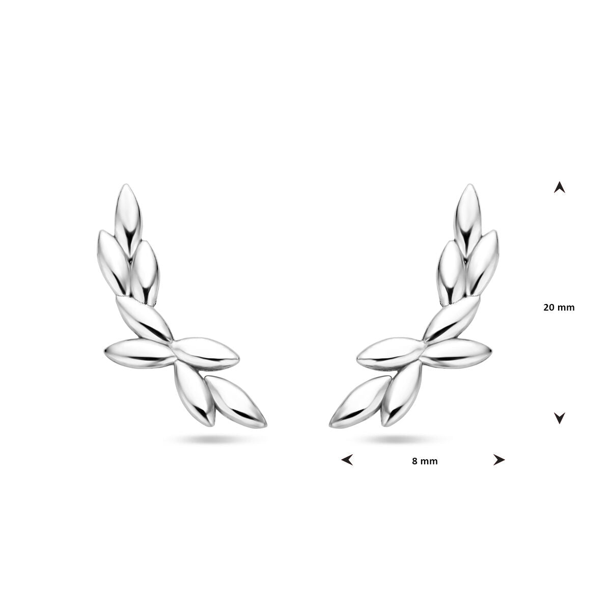 Van der Kooij Collezione - orecchini a bottone 20 mm argento rodiato