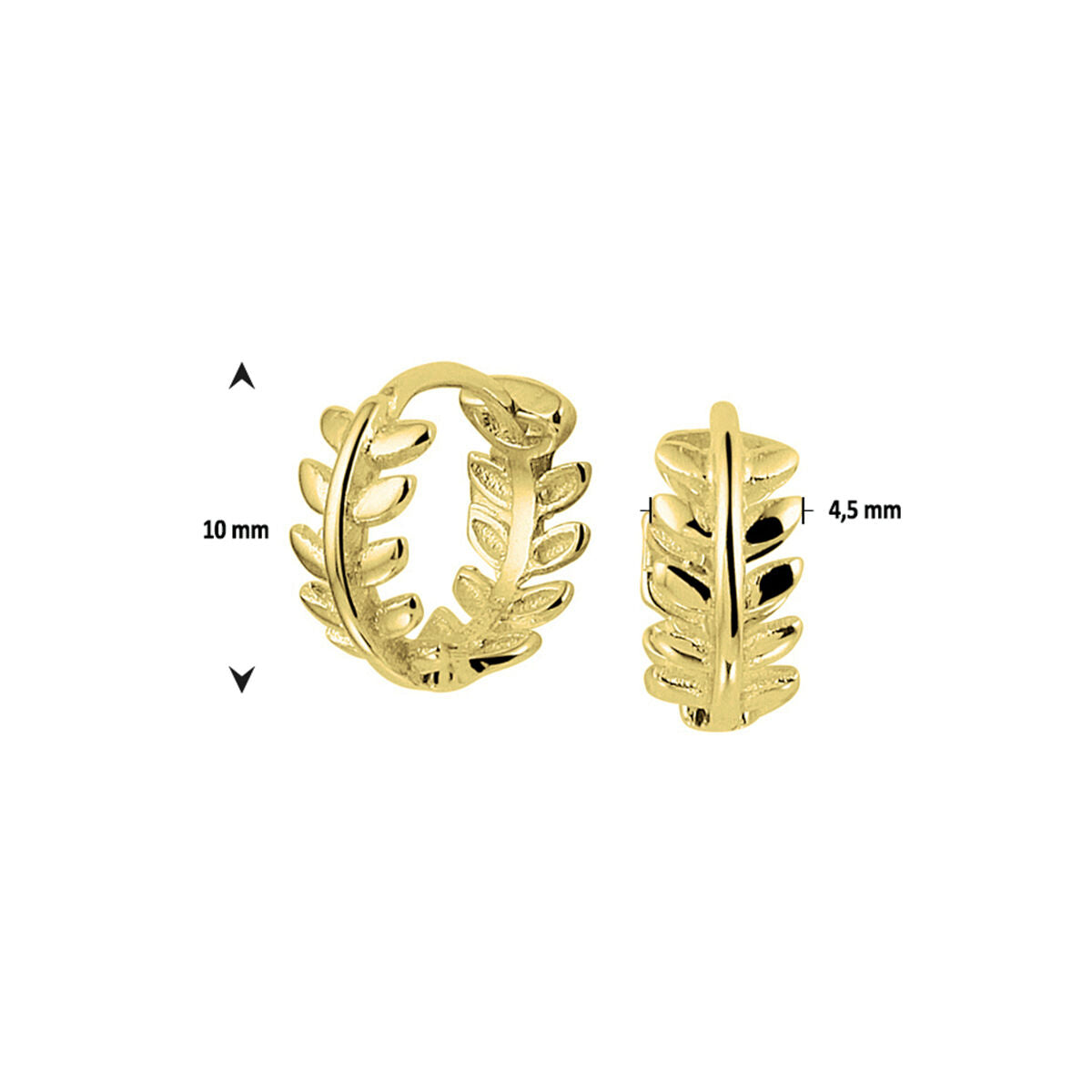 orecchini a cerchio 1 micron argento dorato (giallo)