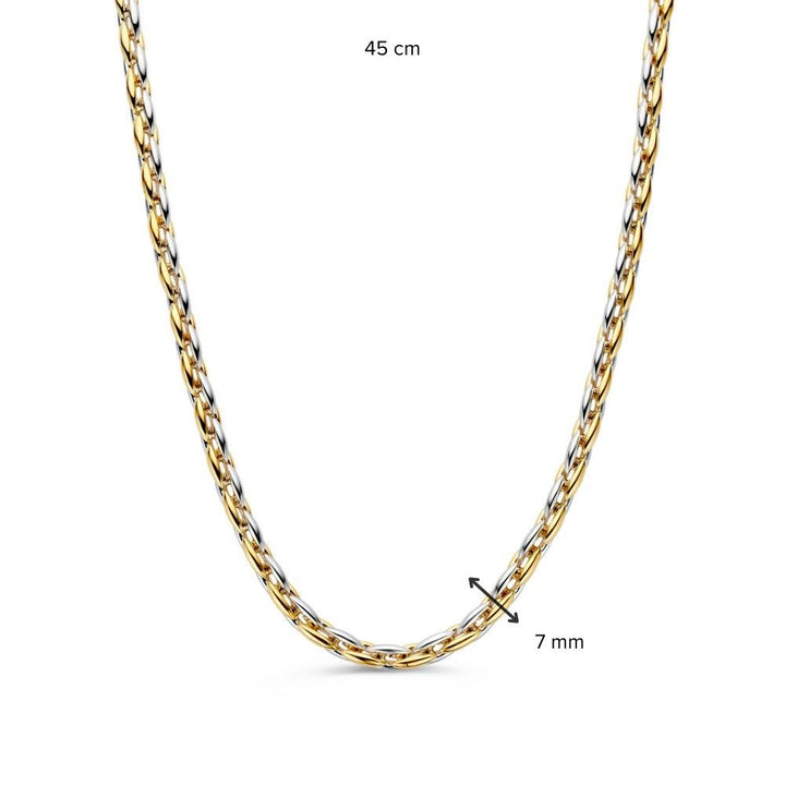 Collier bicolor