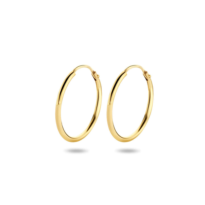 Een paar Van der Kooij Collectie oorringen 1,5 mm ronde buis in 14K geelgoud met scharniersluiting getoond op een effen witte achtergrond, waardoor er zachte schaduwen onder vallen.
