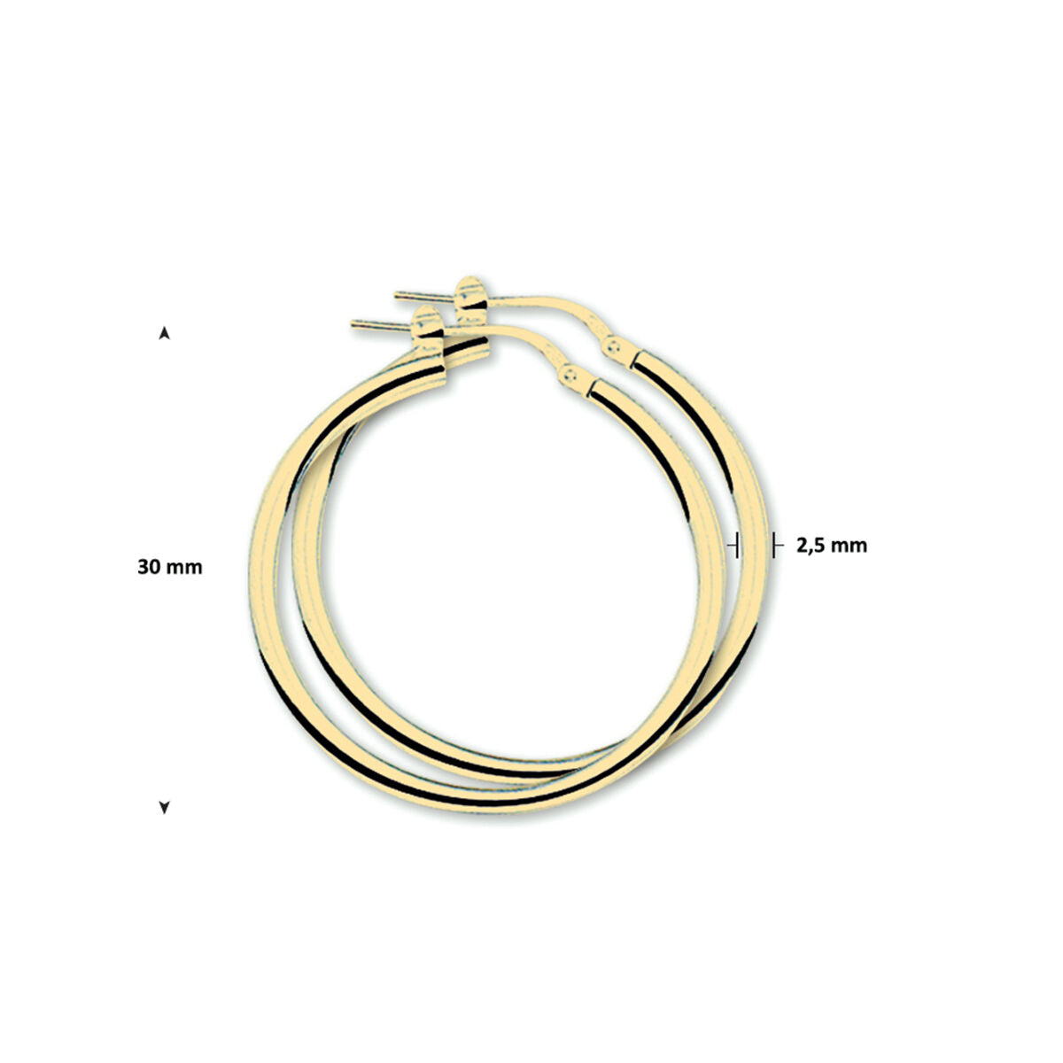orecchini a cerchio 2,5 mm tubo tondo 1 micron argento placcato oro (giallo)