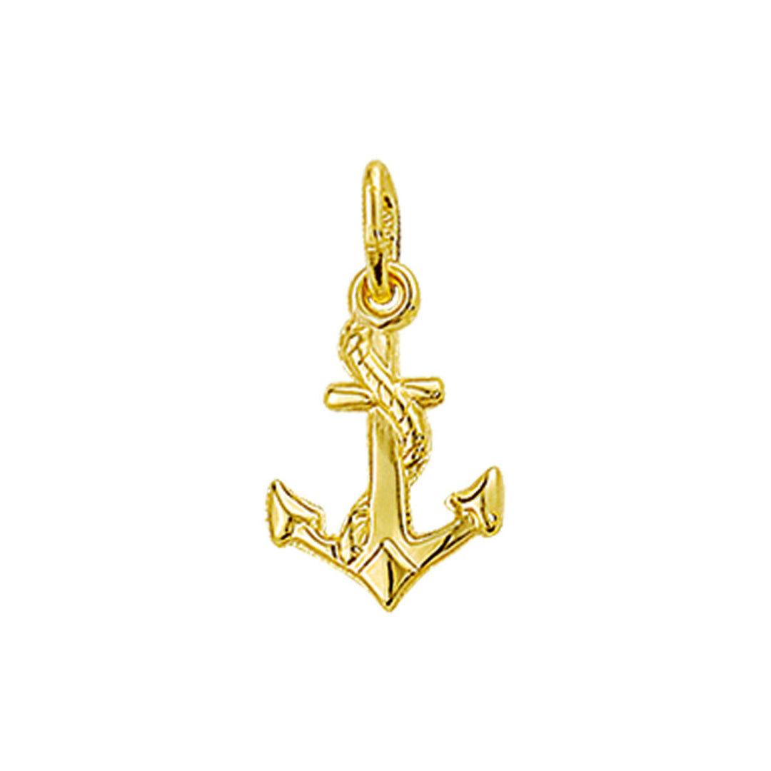 De "hanger anker 14K geelgoud" van Van der Kooij Collectie heeft een gedetailleerd anker ontwerp met een touw accent en een bovenste lus voor bevestiging aan een ketting.