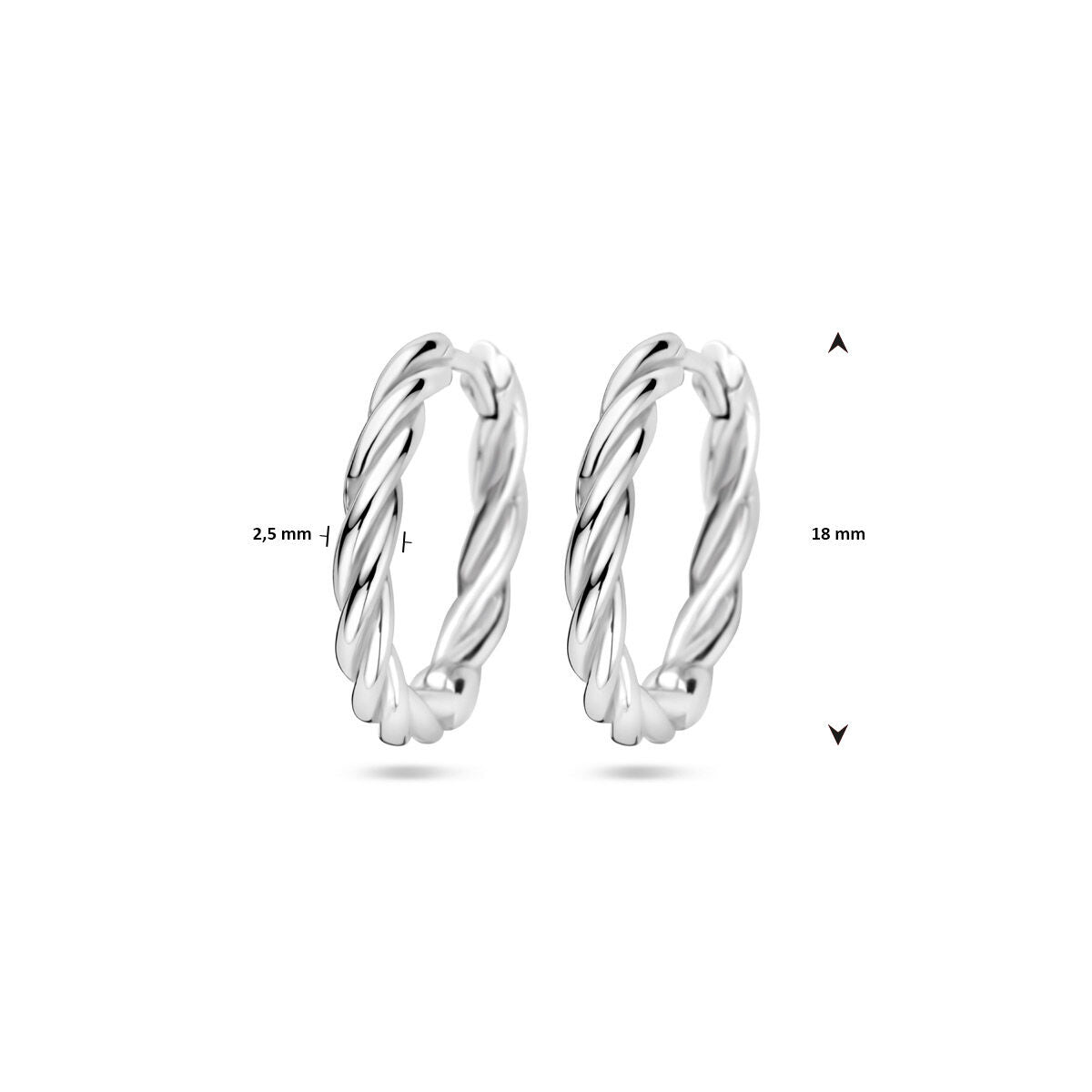 orecchini a cerchio tubolari 2,5 mm argento rodiato