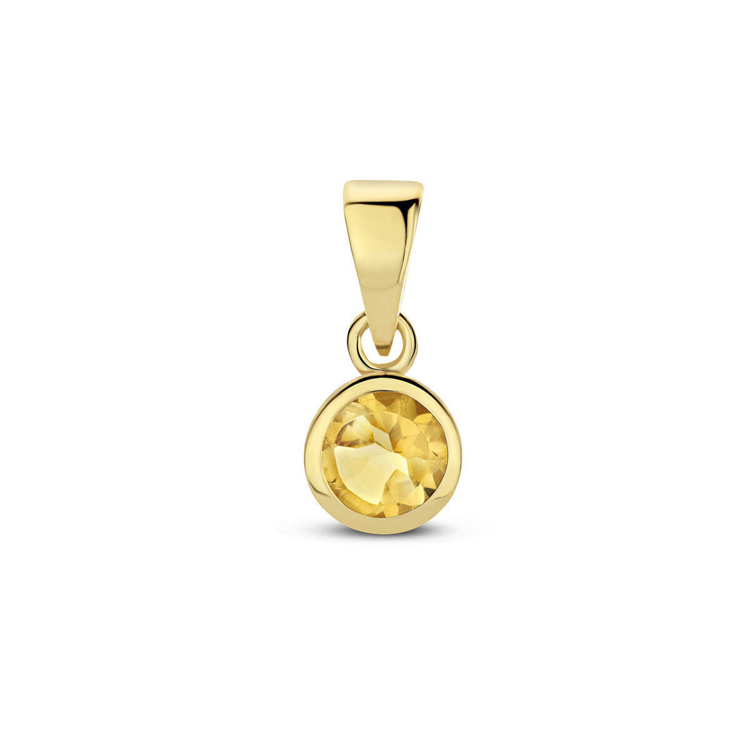 hanger met geboortesteen 14K geelgoud