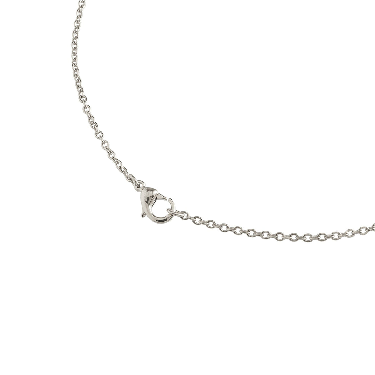 Collana in titanio con chiusura a moschettone e maglia fine.