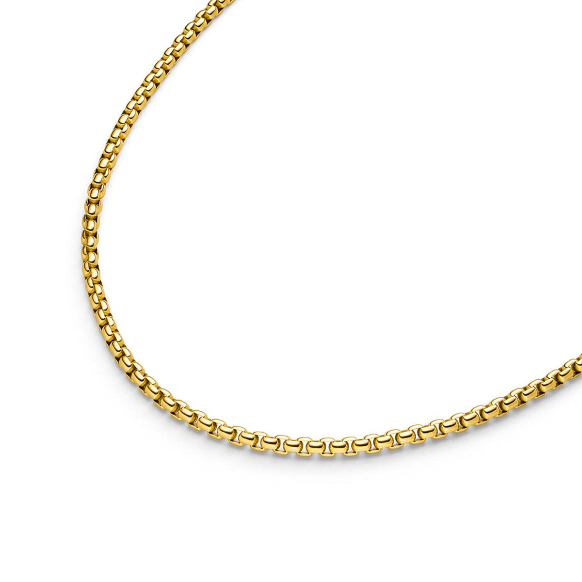 collana in titanio con maglia rolò dorata