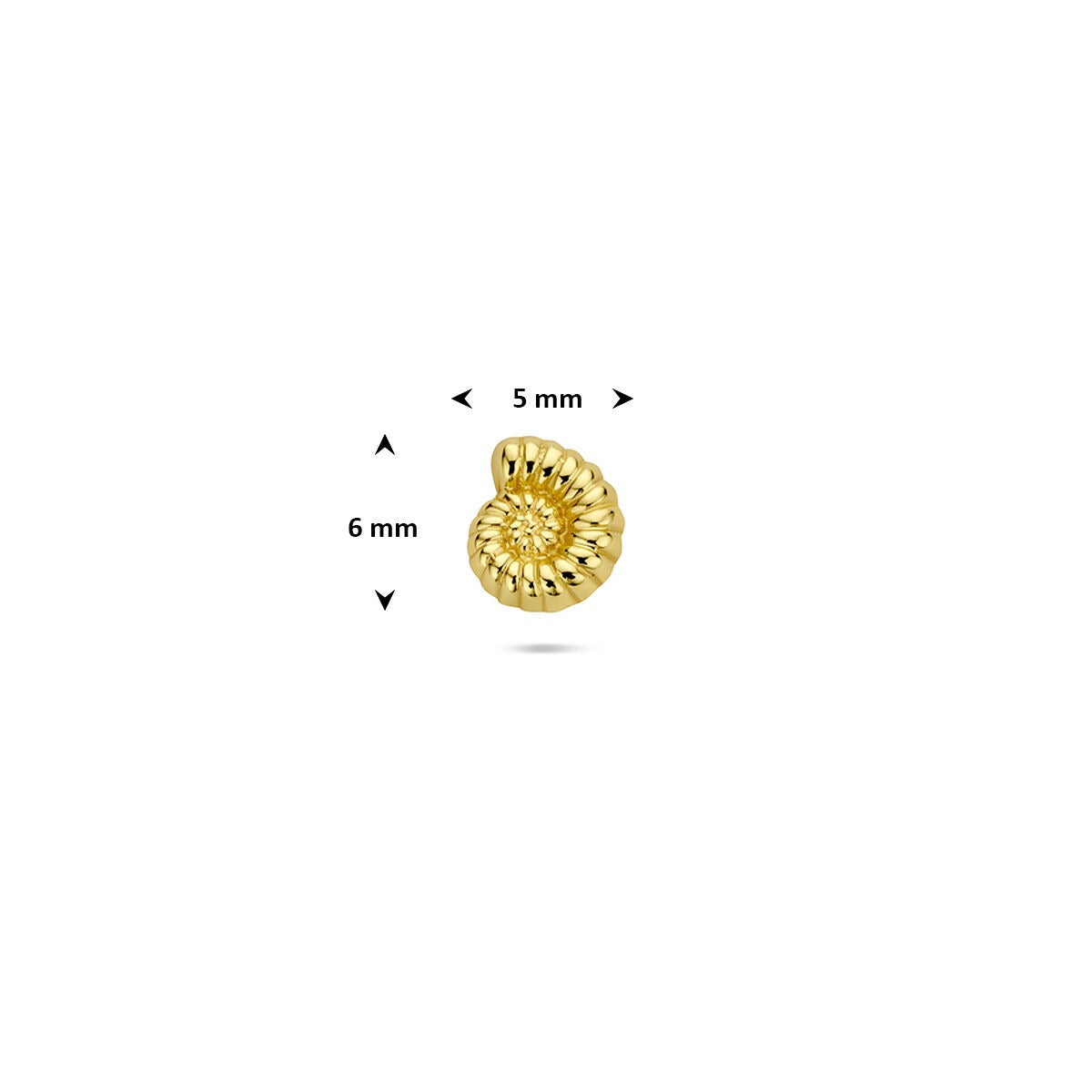 Piercing flat back in argento dorato conchiglia nautilus – argento 925