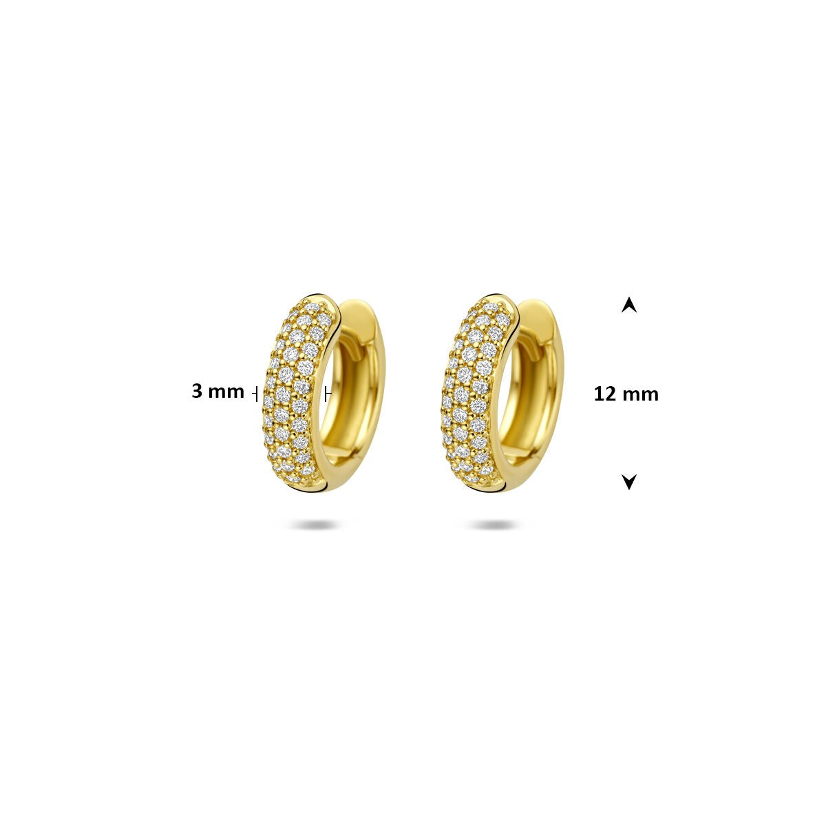 Orecchini a cerchio in oro giallo 14k con diamante