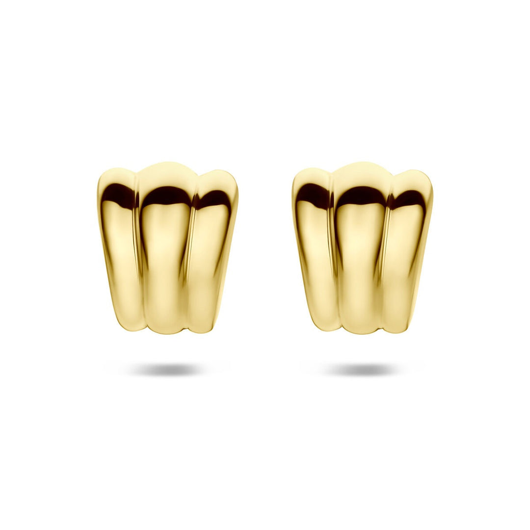 Verguld 925 Zilveren Stekeroorbellen 20,5 x 16,5 mm Dames