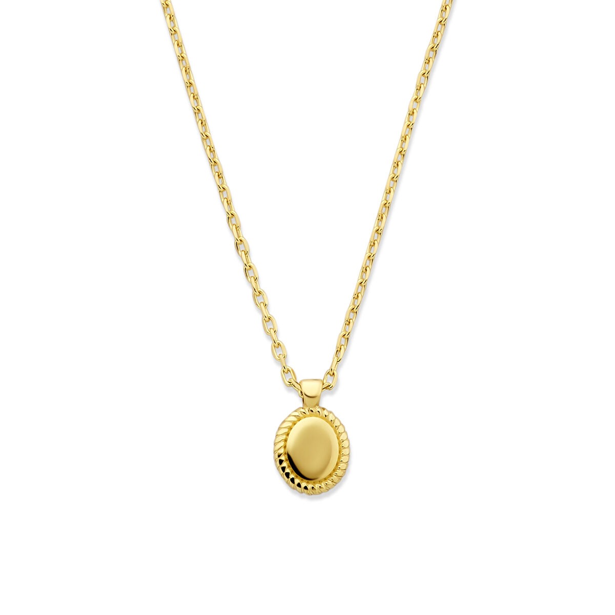 Geelgouden collier met een ronde hanger en een fijne ketting, afgewerkt met een subtiele rand.