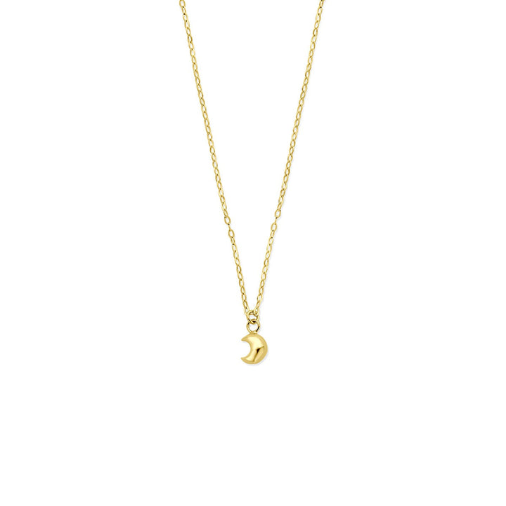 14k geelgouden ketting met maan hanger