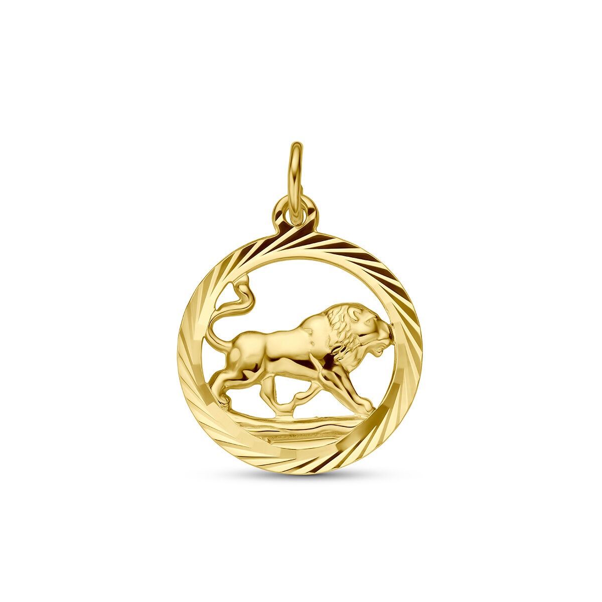 Ciondolo in oro giallo 9k con motivo di leone, incastonato in un cerchio decorato.
