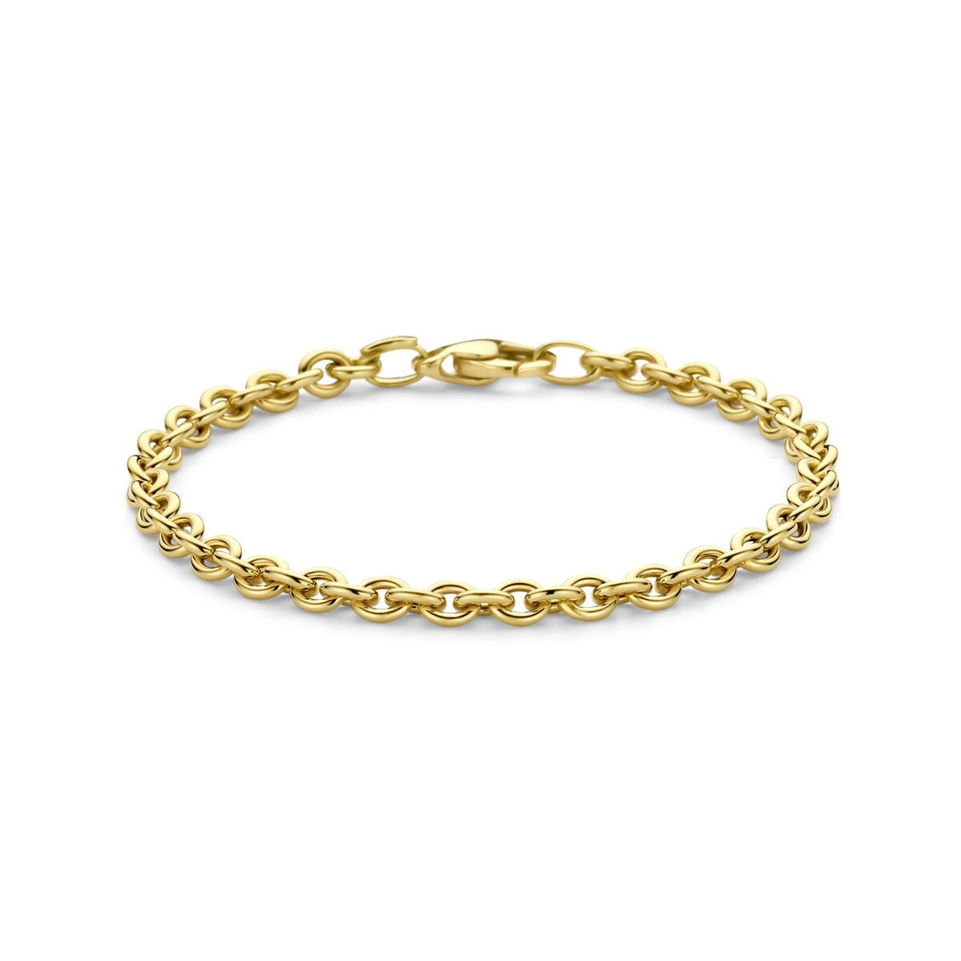 14k Geelgouden Schakel Armband Anker