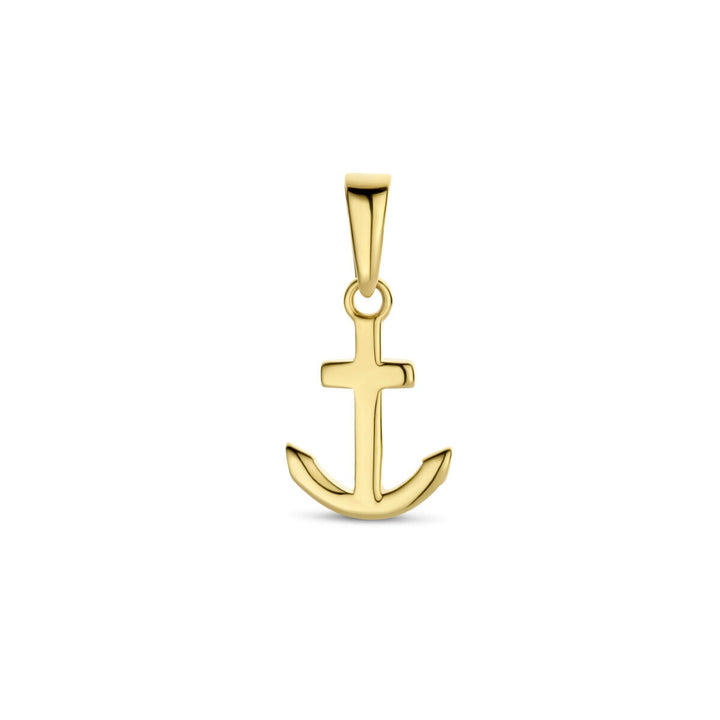 9k Geelgouden anker hanger
