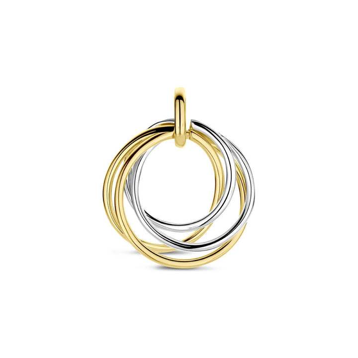14k Bicolor hanger van geel- en witgoud – dames 21 mm