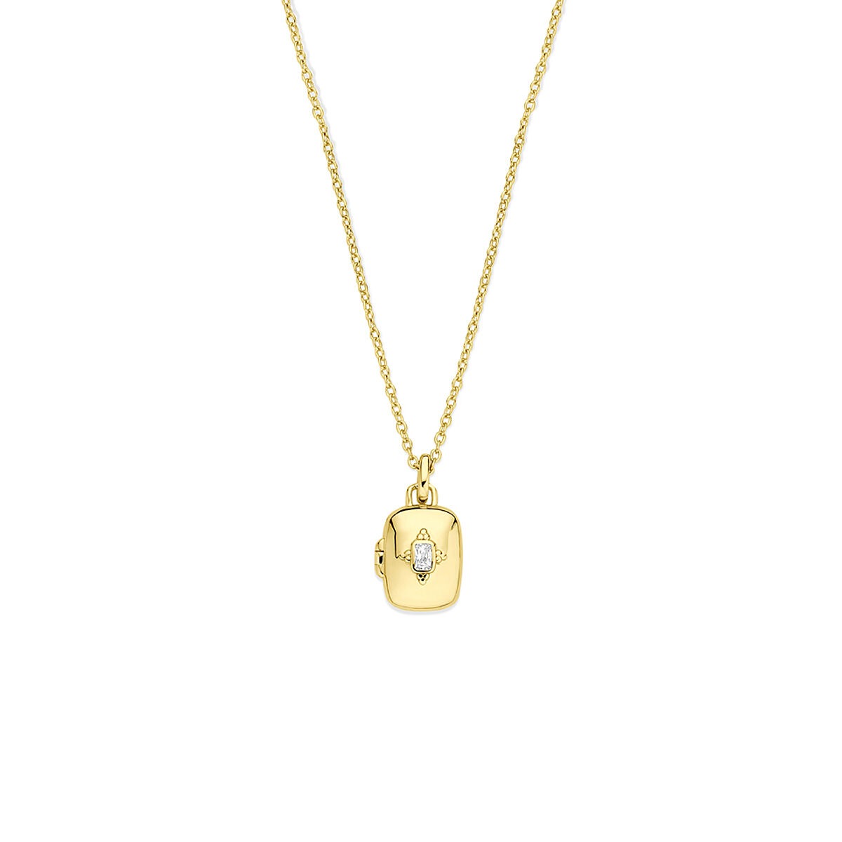 Collana in argento dorato con medaglione e zirconia.