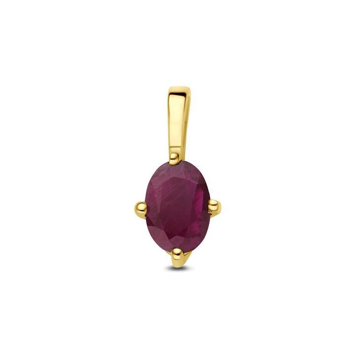 14k geelgouden hanger met robijn